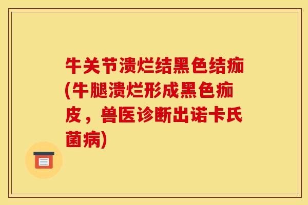 牛关节溃烂结黑色结痂(牛腿溃烂形成黑色痂皮，兽医诊断出诺卡氏菌病)