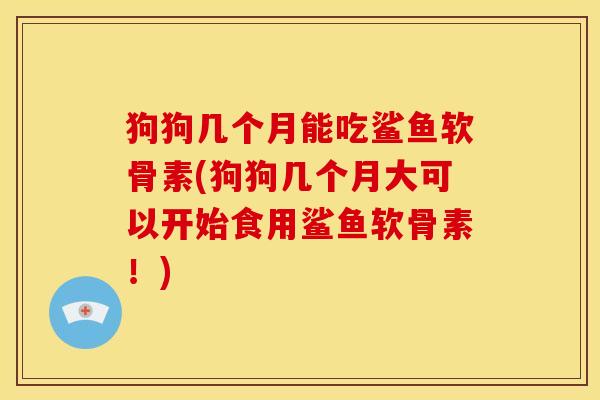 狗狗几个月能吃鲨鱼软骨素(狗狗几个月大可以开始食用鲨鱼软骨素！)