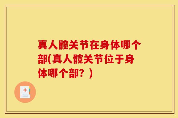 真人髋关节在身体哪个部(真人髋关节位于身体哪个部？)