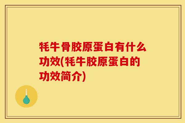 牦牛骨胶原蛋白有什么功效(牦牛胶原蛋白的功效简介)