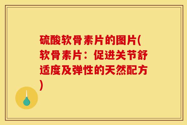 硫酸软骨素片的图片(软骨素片：促进关节舒适度及弹性的天然配方)