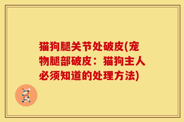猫狗腿关节处破皮(宠物腿部破皮：猫狗主人必须知道的处理方法)