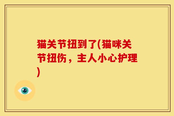 猫关节扭到了(猫咪关节扭伤，主人小心护理)