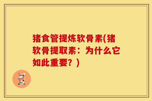 猪食管提炼软骨素(猪软骨提取素：为什么它如此重要？)