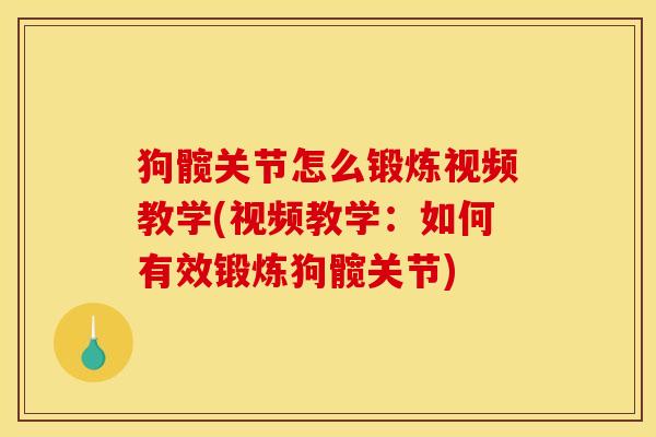 狗髋关节怎么锻炼视频教学(视频教学：如何有效锻炼狗髋关节)