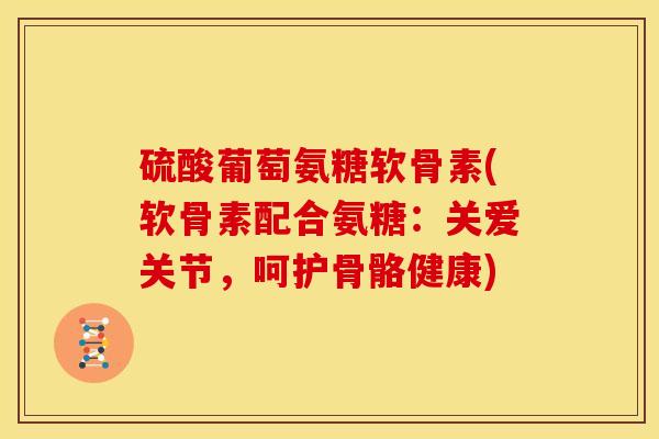 硫酸葡萄氨糖软骨素(软骨素配合氨糖：关爱关节，呵护骨骼健康)