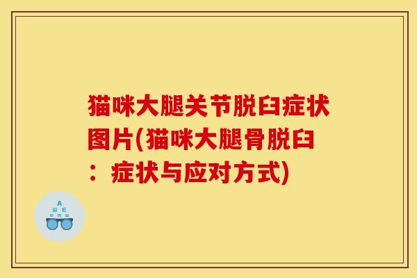 猫咪大腿关节脱臼症状图片(猫咪大腿骨脱臼：症状与应对方式)