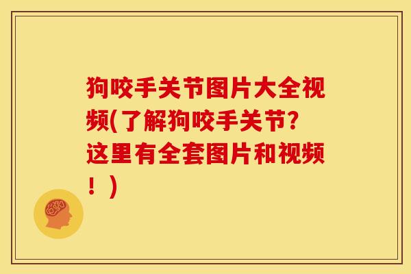狗咬手关节图片大全视频(了解狗咬手关节？这里有全套图片和视频！)