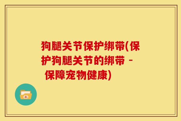 狗腿关节保护绑带(保护狗腿关节的绑带 - 保障宠物健康)