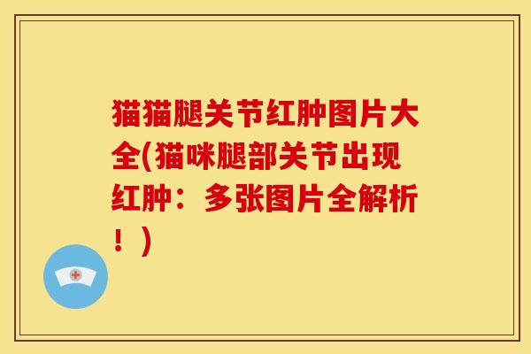 猫猫腿关节红肿图片大全(猫咪腿部关节出现红肿：多张图片全解析！)