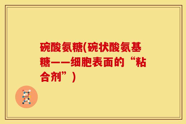 碗酸氨糖(碗状酸氨基糖——细胞表面的“粘合剂”)