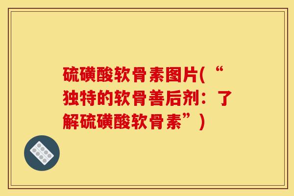 硫磺酸软骨素图片(“独特的软骨善后剂：了解硫磺酸软骨素”)