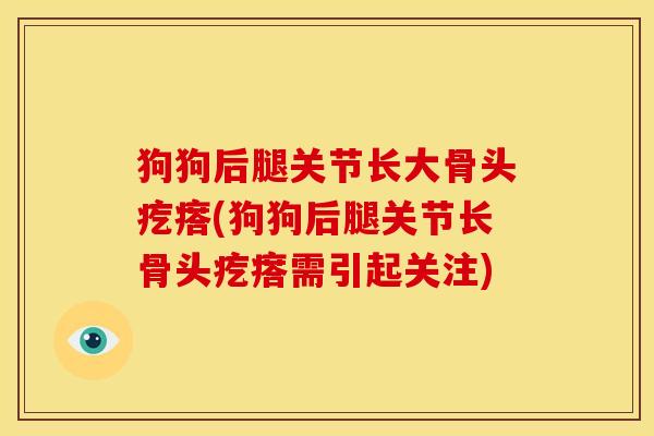 狗狗后腿关节长大骨头疙瘩(狗狗后腿关节长骨头疙瘩需引起关注)