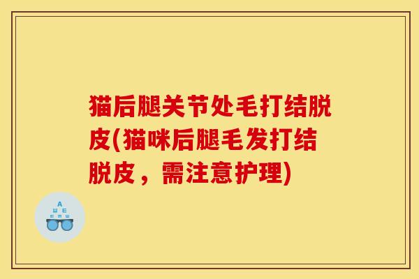 猫后腿关节处毛打结脱皮(猫咪后腿毛发打结脱皮，需注意护理)
