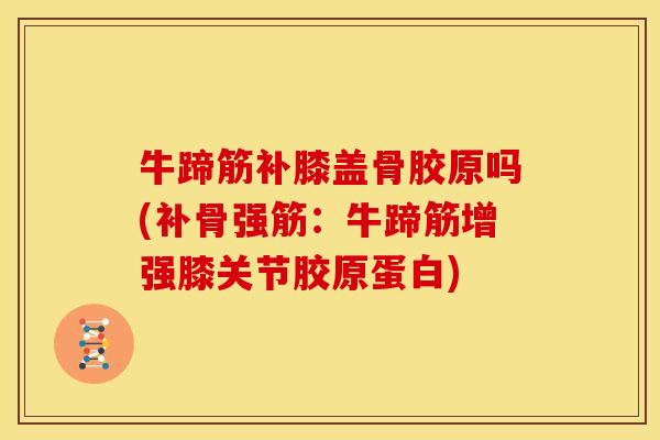 牛蹄筋补膝盖骨胶原吗(补骨强筋：牛蹄筋增强膝关节胶原蛋白)