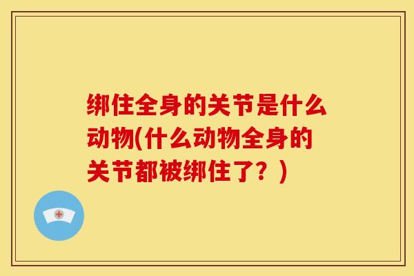 绑住全身的关节是什么动物(什么动物全身的关节都被绑住了？)