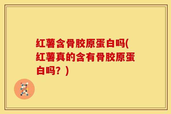 红薯含骨胶原蛋白吗(红薯真的含有骨胶原蛋白吗？)