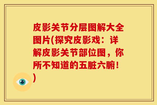 皮影关节分层图解大全图片(探究皮影戏：详解皮影关节部位图，你所不知道的五脏六腑！)