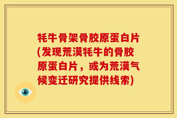 牦牛骨架骨胶原蛋白片(发现荒漠牦牛的骨胶原蛋白片，或为荒漠气候变迁研究提供线索)