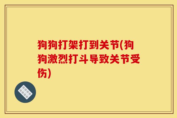 狗狗打架打到关节(狗狗激烈打斗导致关节受伤)