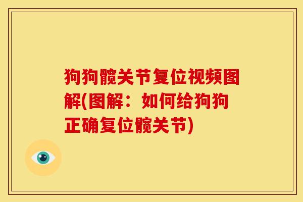 狗狗髋关节复位视频图解(图解：如何给狗狗正确复位髋关节)