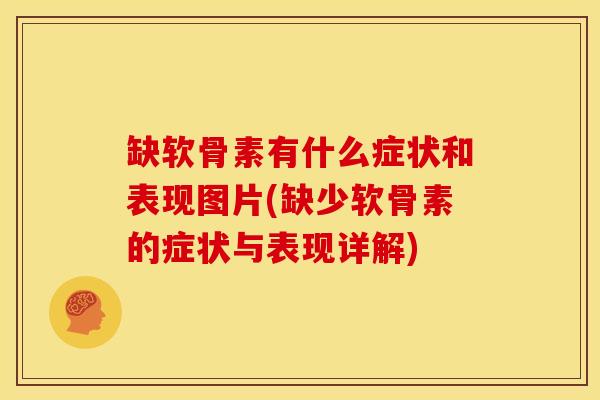 缺软骨素有什么症状和表现图片(缺少软骨素的症状与表现详解)