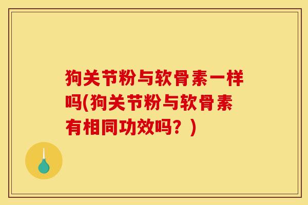 狗关节粉与软骨素一样吗(狗关节粉与软骨素有相同功效吗？)