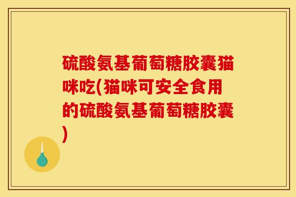 硫酸氨基葡萄糖胶囊猫咪吃(猫咪可安全食用的硫酸氨基葡萄糖胶囊)