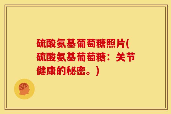 硫酸氨基葡萄糖照片(硫酸氨基葡萄糖：关节健康的秘密。)