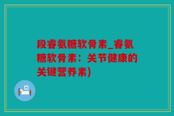 段睿氨糖软骨素_睿氨糖软骨素：关节健康的关键营养素)
