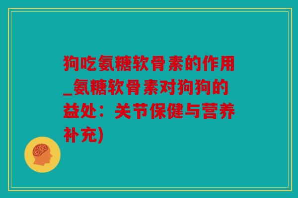 狗吃氨糖软骨素的作用_氨糖软骨素对狗狗的益处：关节保健与营养补充)