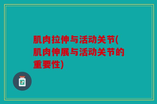肌肉拉伸与活动关节(肌肉伸展与活动关节的重要性)