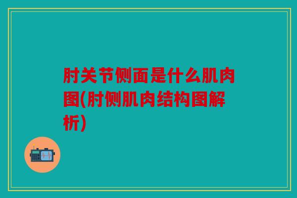 肘关节侧面是什么肌肉图(肘侧肌肉结构图解析)