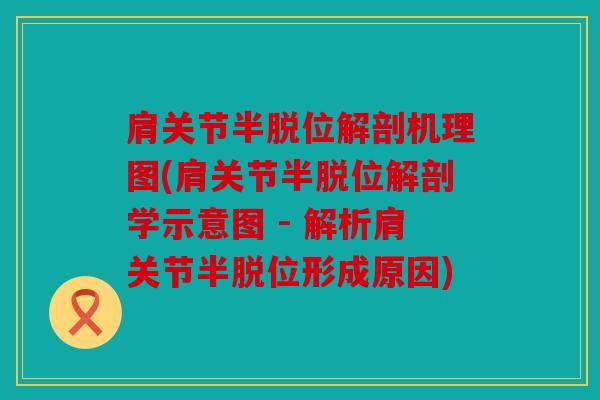 肩关节半脱位解剖机理图(肩关节半脱位解剖学示意图 - 解析肩关节半脱位形成原因)