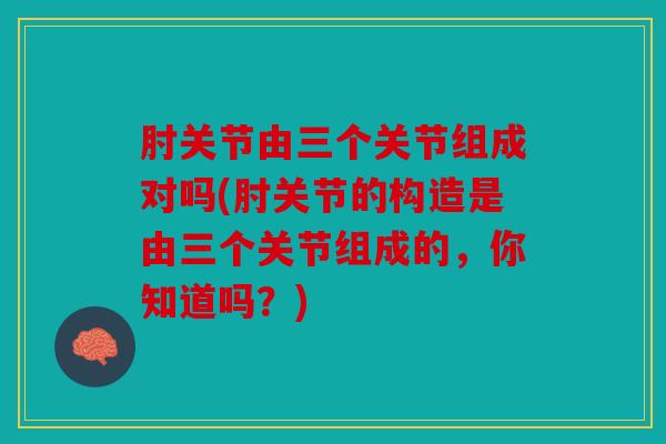 肘关节由三个关节组成对吗(肘关节的构造是由三个关节组成的，你知道吗？)