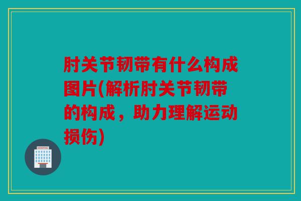 肘关节韧带有什么构成图片(解析肘关节韧带的构成，助力理解运动损伤)