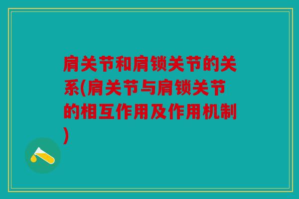 肩关节和肩锁关节的关系(肩关节与肩锁关节的相互作用及作用机制)