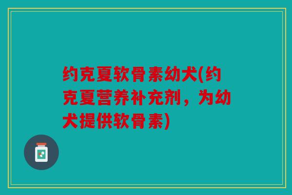 约克夏软骨素幼犬(约克夏营养补充剂，为幼犬提供软骨素)