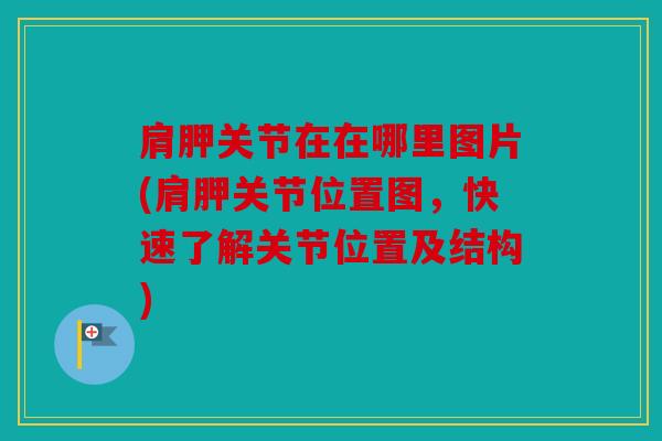肩胛关节在在哪里图片(肩胛关节位置图，快速了解关节位置及结构)