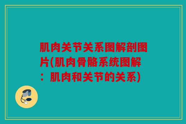 肌肉关节关系图解剖图片(肌肉骨骼系统图解：肌肉和关节的关系)