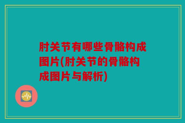 肘关节有哪些骨骼构成图片(肘关节的骨骼构成图片与解析)