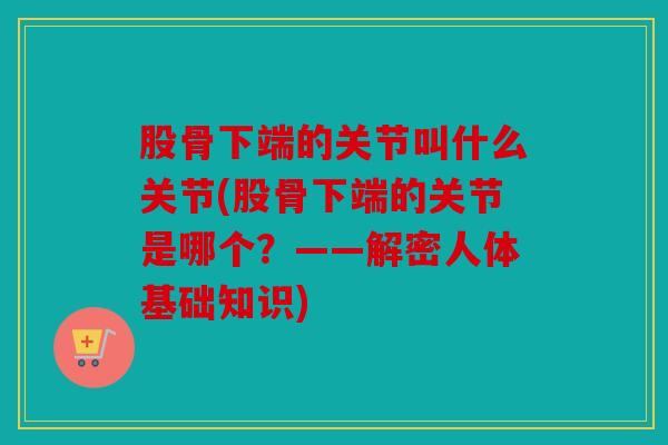 股骨下端的关节叫什么关节(股骨下端的关节是哪个？——解密人体基础知识)