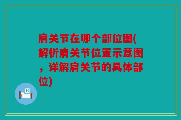 肩关节在哪个部位图(解析肩关节位置示意图，详解肩关节的具体部位)