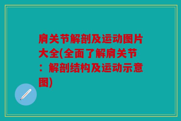 肩关节解剖及运动图片大全(全面了解肩关节：解剖结构及运动示意图)