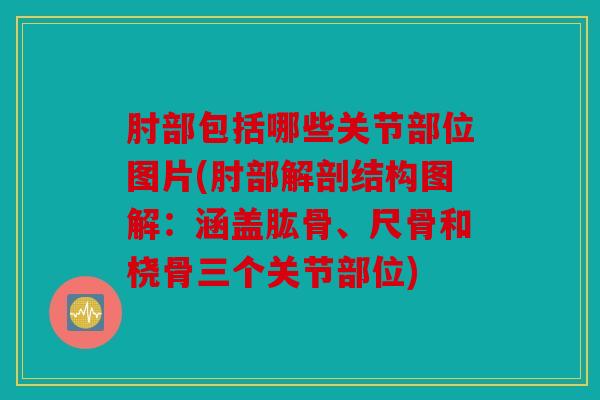 肘部包括哪些关节部位图片(肘部解剖结构图解：涵盖肱骨、尺骨和桡骨三个关节部位)