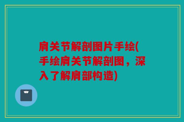 肩关节解剖图片手绘(手绘肩关节解剖图，深入了解肩部构造)