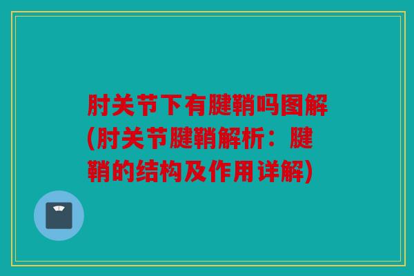 肘关节下有腱鞘吗图解(肘关节腱鞘解析：腱鞘的结构及作用详解)