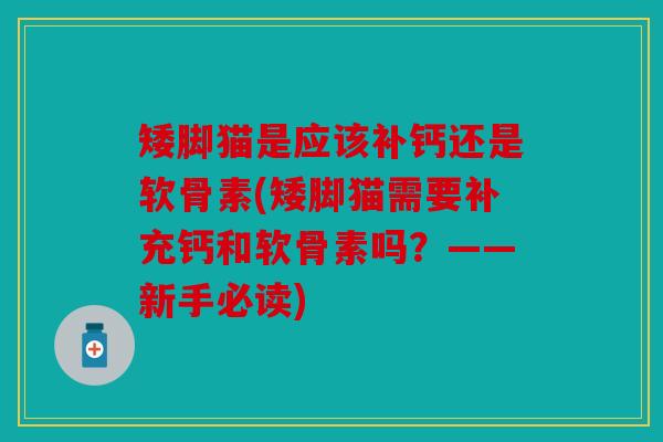 矮脚猫是应该补钙还是软骨素(矮脚猫需要补充钙和软骨素吗？——新手必读)