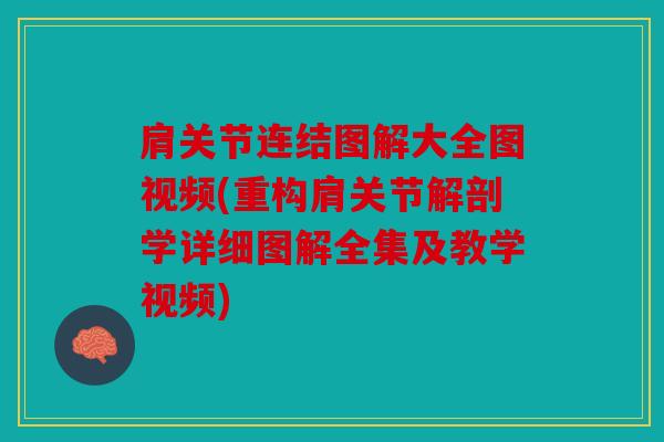 肩关节连结图解大全图视频(重构肩关节解剖学详细图解全集及教学视频)