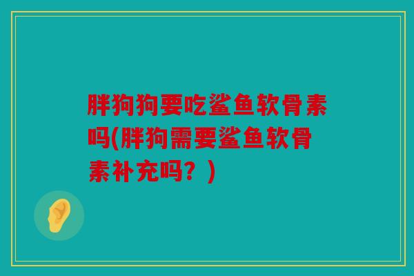 胖狗狗要吃鲨鱼软骨素吗(胖狗需要鲨鱼软骨素补充吗？)